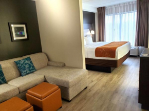 Гостиница Comfort Suites Northlake  Шарлотт